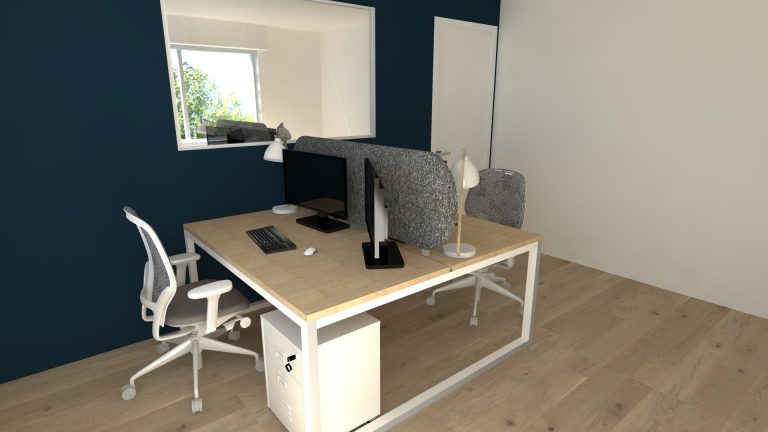 rénovation et remise aux normes bureaux - TASSIN LA DEMI LUNE (69) - Rhône - vue 3D